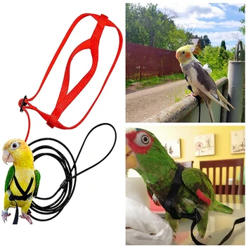 Képzési Közlekedő Vontató Kötél Állítható Anti-BiteTraining Kötél Madár Póráz Papagáj Repül A Kötelet Papagáj Hám Madár, Hám, Póráz Kép