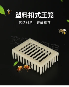 Méh evőeszközökkel Csat típusú műanyag ketrec 10db/sz.TXF-1048 Kép