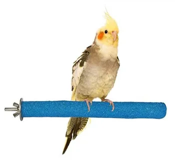 Papagáj Játékok Kisállat Madár Tartozékok A Legjobb Eladási 2019 Termékek Kisállat Madár Ketrec Ülőrudak Állni Platform Mancs Csiszolás Harap Játék 96 Kép